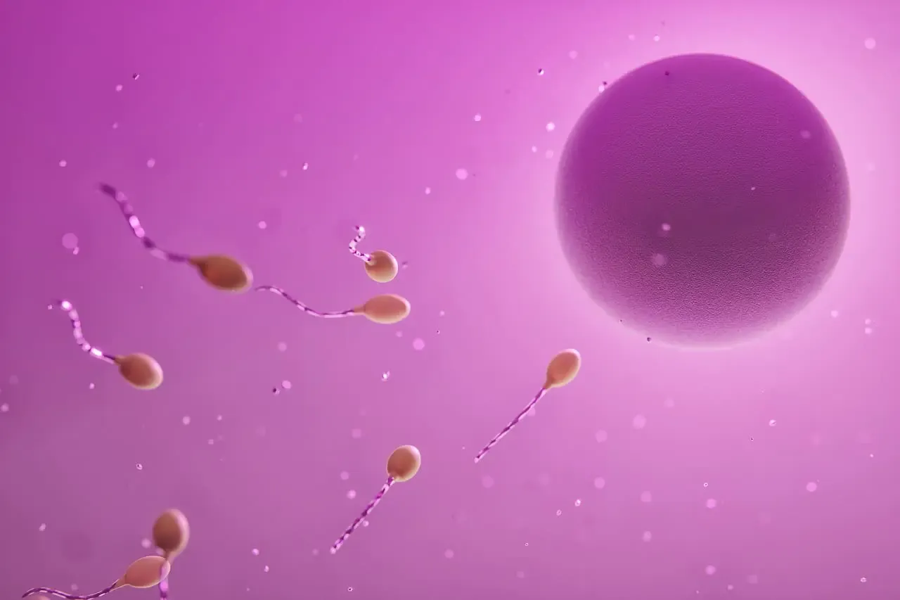 Atención médica de calidad en Medellín con profesionales especializados