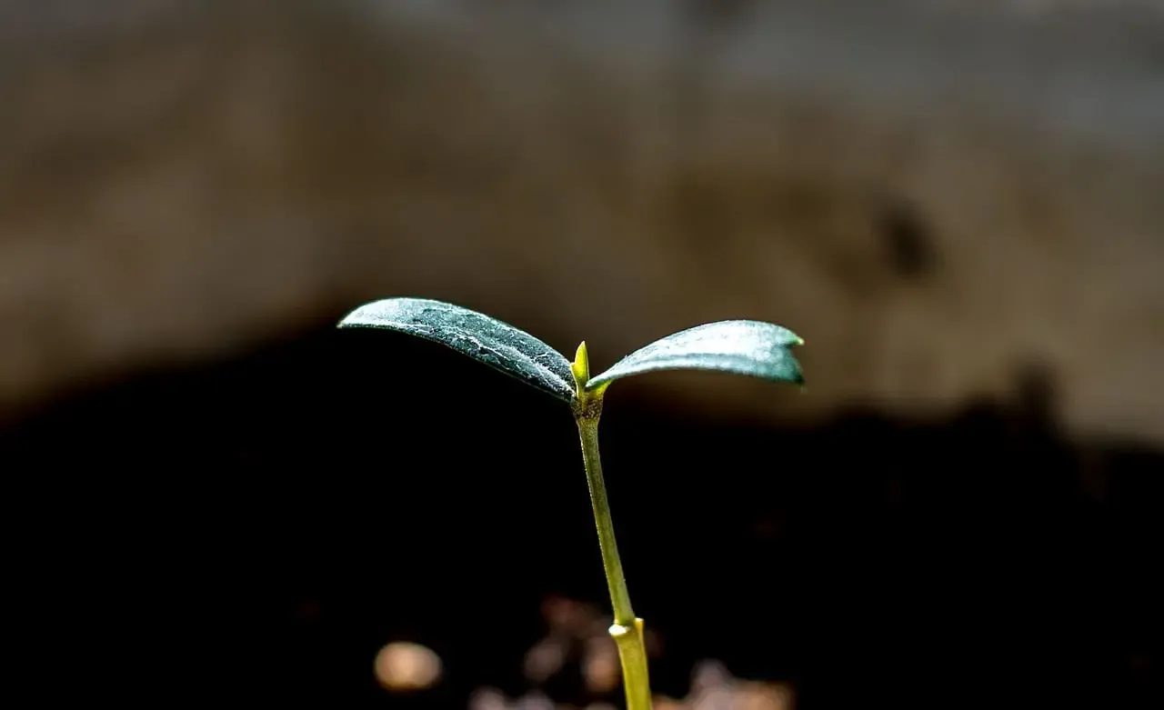 Atención médica profesional en Medellín con tecnología de vanguardia para pacientes internacionales
