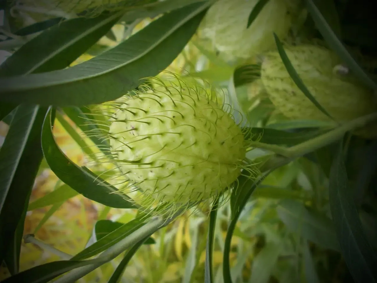 Turismo médico en Medellín - atención de salud de calidad en Colombia